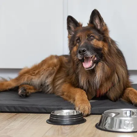 Jazz Apartman Szczecin