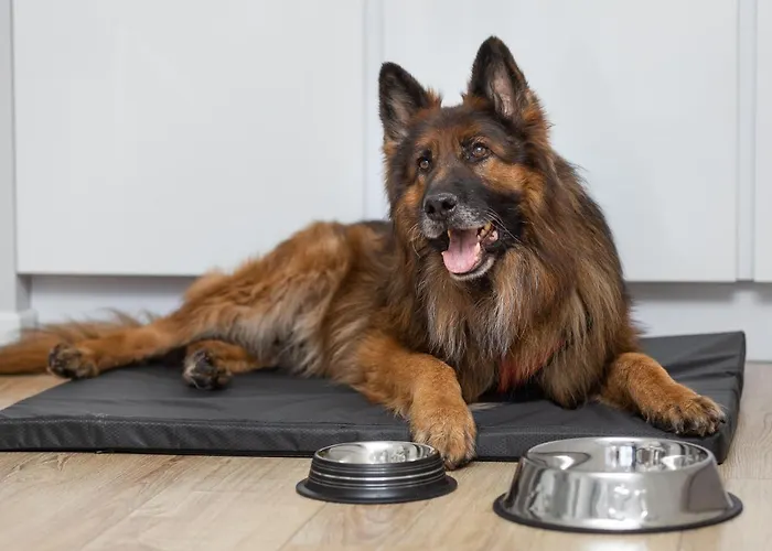 Jazz Apartment Stettin